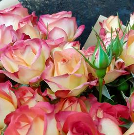 Букет из 7 желто-красных кустовых роз 70см