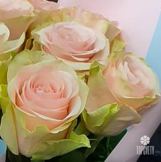 Букет из 15 бело-розовых сортовых роз 50см