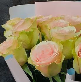 Букет из 15 бело-розовых сортовых роз 50см