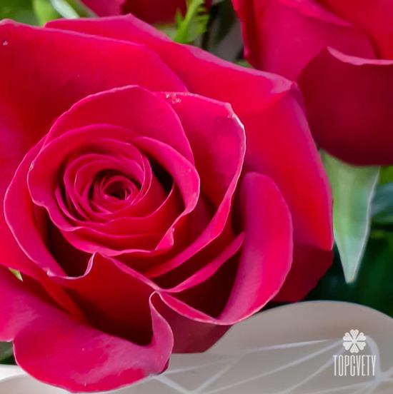 Букет из 11 красных роз Фридом 70см