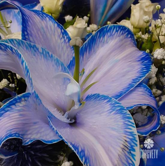 Букет из лилий, роз и гипсофилы