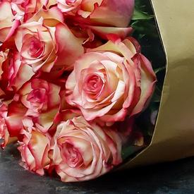 Букет из 11 розовых сортовых роз 50см