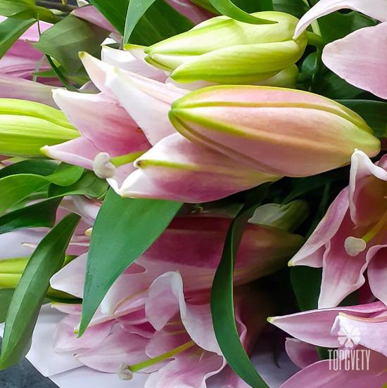 Букет из 9 розовых лилий