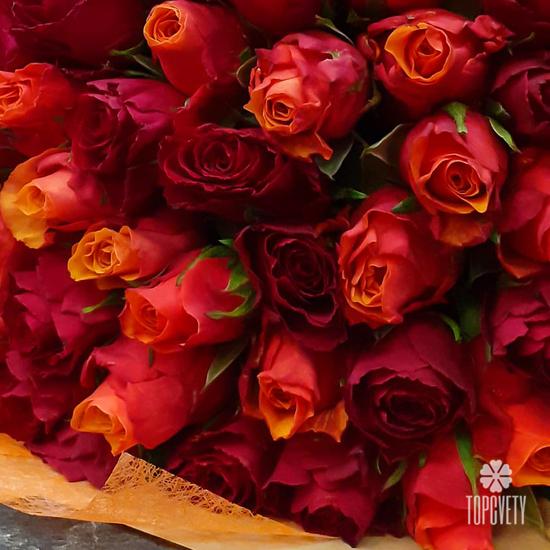 Букет из 101 розы микс 40см