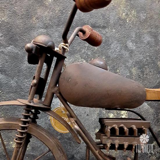 Коллекция Транспорт №1