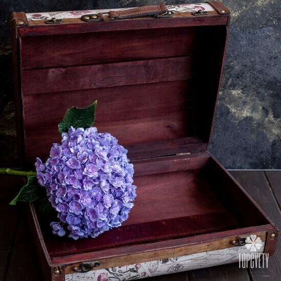 Декоративный чемодан №5