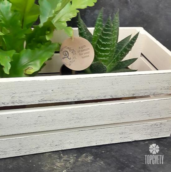 Деревянный ящик №1