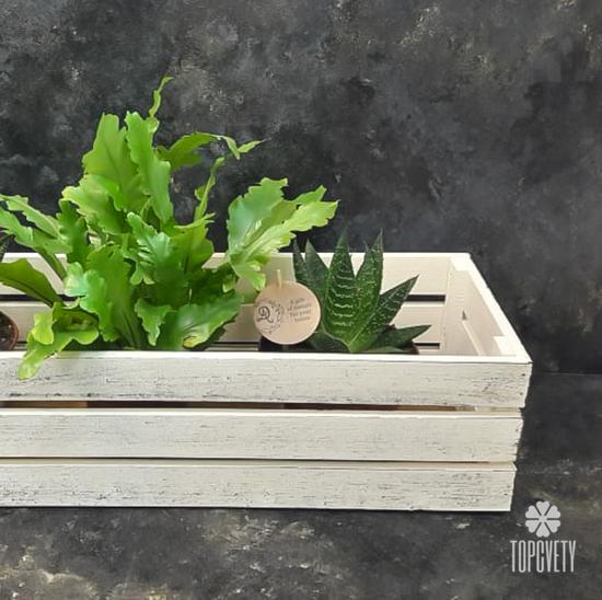 Деревянный ящик №1