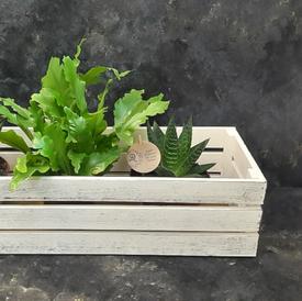 Деревянный ящик №1