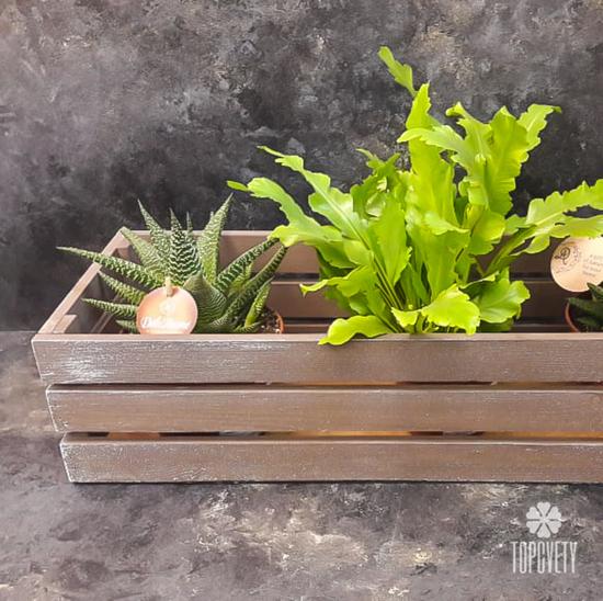 Деревянный ящик №2