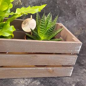 Деревянный ящик №2