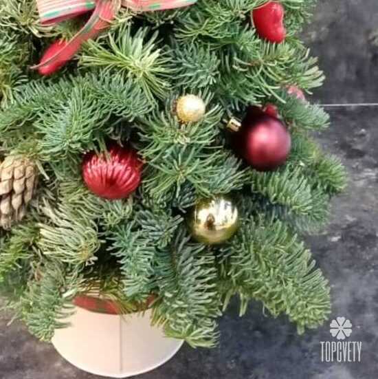 Новогодняя композиция №10