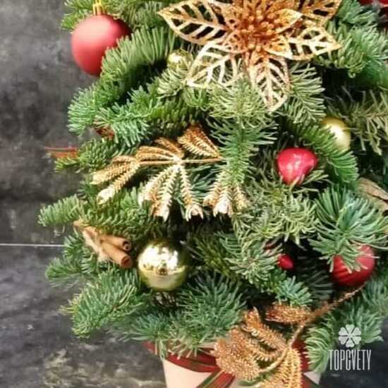 Новогодняя композиция №10