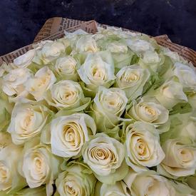 Букет из 51 белой розы 40см