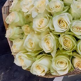 Букет из 51 белой розы 40см
