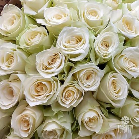 Букет из 51 белой розы 40см