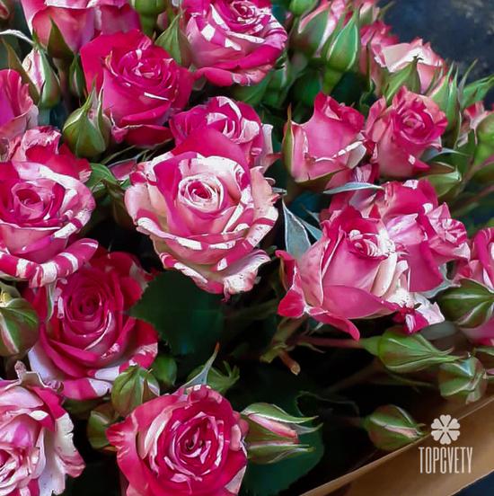 Букет из 15 кустовых роз 50см