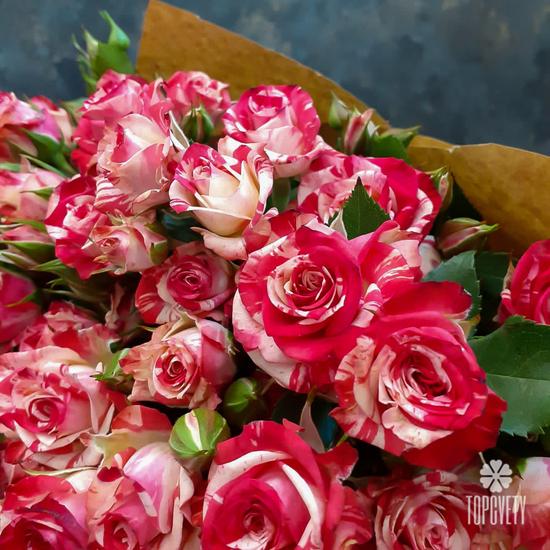 Букет из 15 кустовых роз 50см