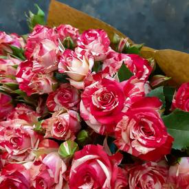 Букет из 15 кустовых роз 50см