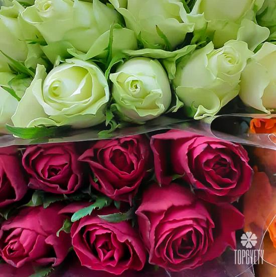 Роза Кения в упаковке - 3 уп