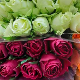 Роза Кения в упаковке - 3 уп