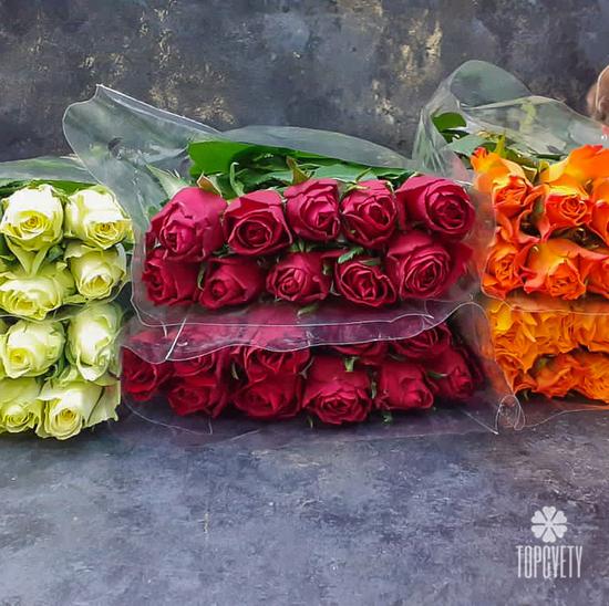 Роза Кения в упаковке - 3 уп