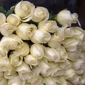 Букет из 51 белой розы