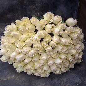 Букет из 51 белой розы