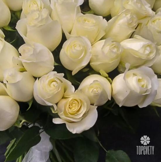 Букет из 51 белой розы