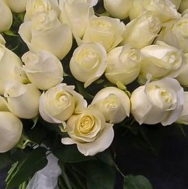 Букет из 51 белой розы