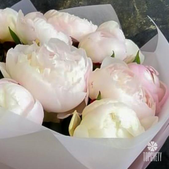 Букет из 11 бело-розовых пионов 