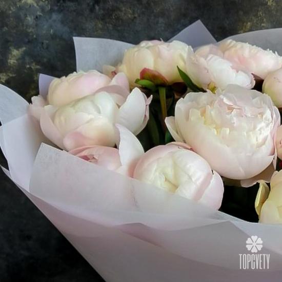 Букет из 11 бело-розовых пионов 