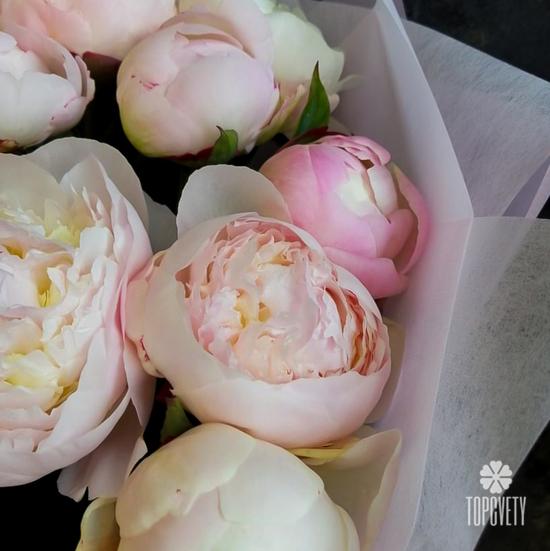 Букет из 11 бело-розовых пионов 