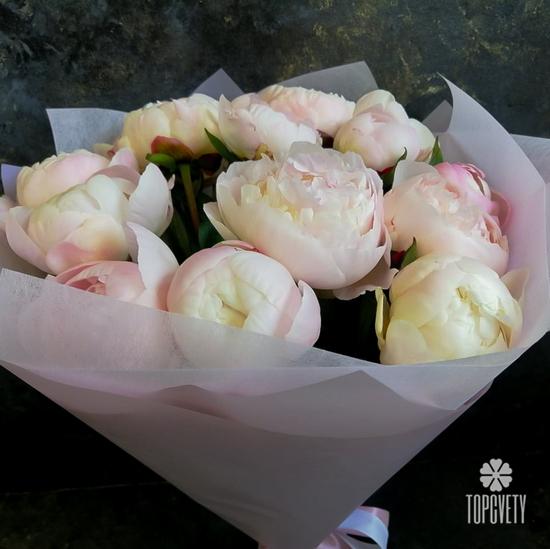 Букет из 11 бело-розовых пионов 