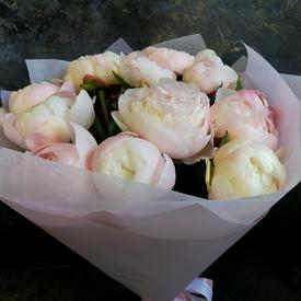 Букет из 11 бело-розовых пионов 