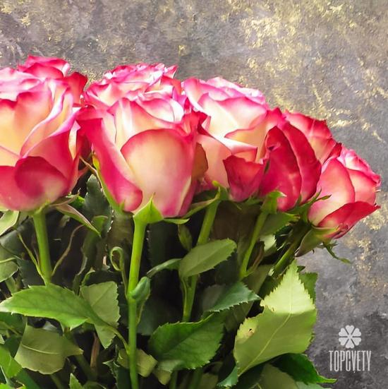 Букет из 21 розовой розы 