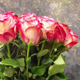 Букет из 21 розовой розы 