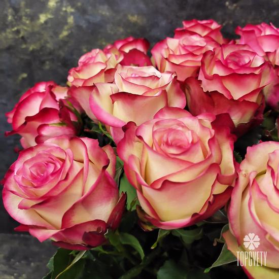 Букет из 21 розовой розы 