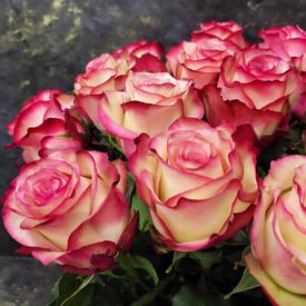 Букет из 21 розовой розы 