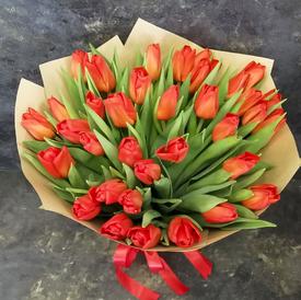 Букет из 35 красных тюльпанов 