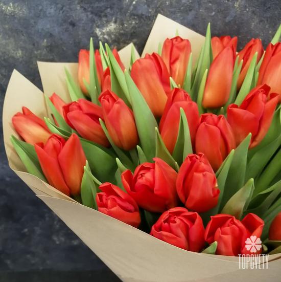 Букет из 35 красных тюльпанов 