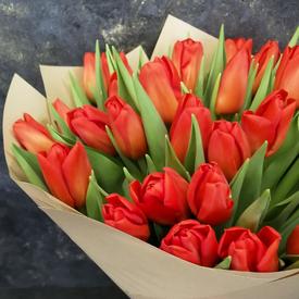 Букет из 35 красных тюльпанов 