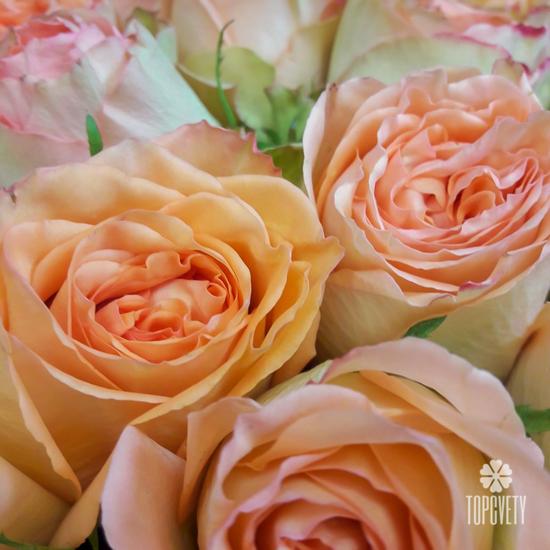 Букет из 51 оранжевой розы 