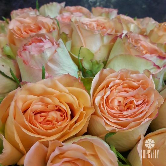 Букет из 51 оранжевой розы 