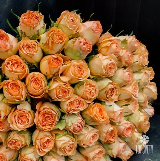 Букет из 51 оранжевой розы 