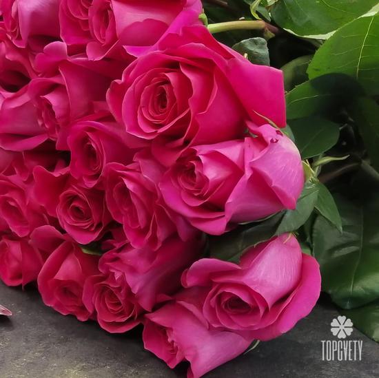 Букет из 17 розовых роз Пинк Флойд  70см