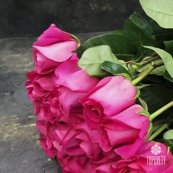 Букет из 17 розовых роз Пинк Флойд  70см