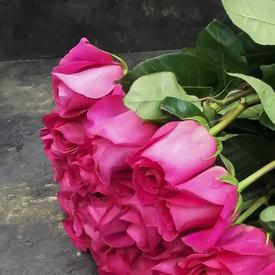 Букет из 17 розовых роз Пинк Флойд  70см