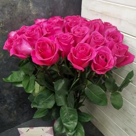 Букет из 17 розовых роз Пинк Флойд  70см