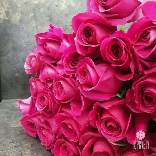 Букет из 17 розовых роз Пинк Флойд  70см